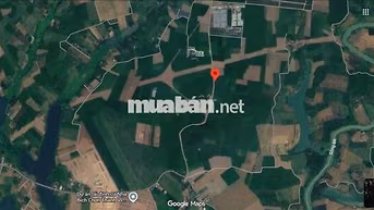 Bán 3 hecta cao su, mặt tiền đường nhựa 9m, Minh Lập - Chơn Thành - BP