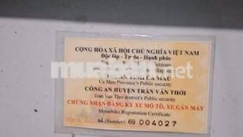 Yamaha Nouvo Vàng Nâu Xe tay ga