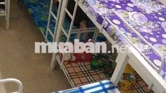 Cho Thuê Giường Tầng KTX Giá Rẻ Không Cần Cọc