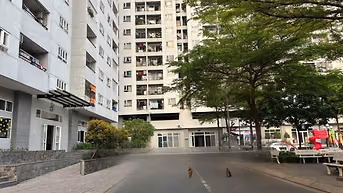 cần bán hoặc cho thuê căn hộ 73m2