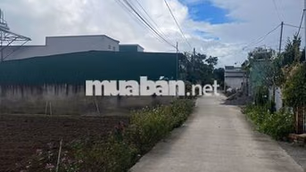 CHÍNH CHỦ BÁN ĐẤT PHÚ HỘI – 127,7M² – 75,5M² THỔ CƯ – SỔ RIÊNG