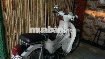 Honda Cub Trắng