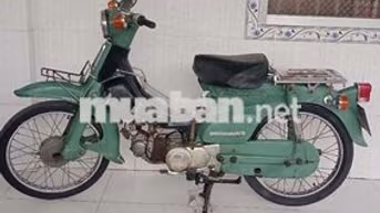 Xe cúp 50 học sinh 