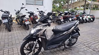 Suzuki Hayate ss