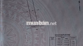 BÁN ĐẤT THỔ CƯ CHÍNH CHỦ  2 MẶT TIỀN HẼM ( QH 6 MÉT )