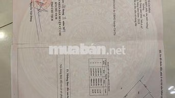 GIÁ TỐT! ĐẤT NHÀ XƯỞNG 460,6M²-BÌNH MỸ-CỦ CHI - ĐƯỜNG 9M -  GIÁ 7,9 tỷ