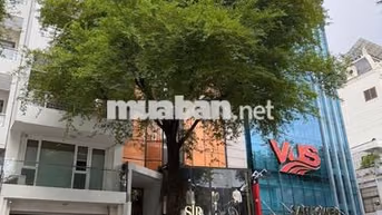 Chính chủ cho thuê MT Phùng Khắc Khoan,Quận 1,Ngang 9m, 4 tầng