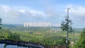 🔥 CHỈ HƠN 900 TRIỆU - CÓ MẢNH VƯỜN 1.500M² SỞ HỮU 3 TẦM VIEW CỰC PHẨM!