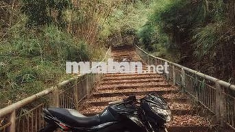 Suzuki Bandit 150 Đen 21k km