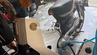 Honda Cub Trắng, Đen