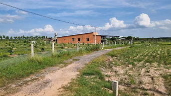 Đất thổ cư Tây Ninh chỉ 240tr. Ngang 5m, dài 35m. Sổ sẵn