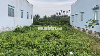 Sang đất 10m x20m Thạnh Hoà, Bến Lức. Sổ hồng riêng!