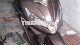 SYM Shark 125 125cc Nâu