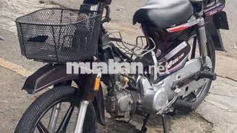 Honda Citi 100 Nâu Chở hàng