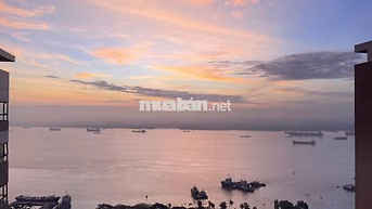 Cho thuê căn 1-2-3PN Q7 Saigon Riverside 4 Đào Trí Nhiều Căn lựa chọn