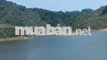 Chính chủ bán 6000m2 đất đồi view hồ Đà Tẻ Lâm Đồng