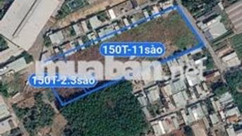 BÁN ĐẤT TÂN ĐỊNH, BẾN CÁT, 13000M2 GIÁ 150 TỶ, GẦN KHU DU LỊCH ĐẠI NAM