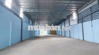xưởng 800m giá 40 triệu Xuân Thới thượng hóc môn