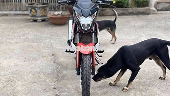 Honda Sonic 2024 Đỏ đen Xe côn tay