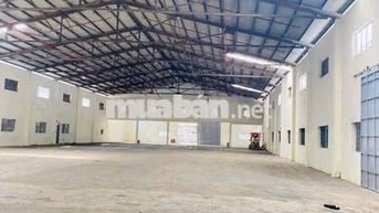 xưởng 3800m giá 150triệu pccc tự động thị trấn hóc môn