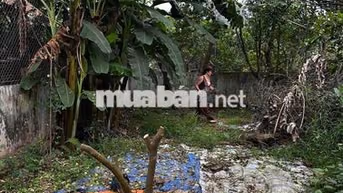 cần bán nhà tại hoài đức - không nằm trong quy hoạch