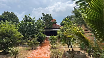 Bán đất tặng nhà vườn 556m2-1tỷ150 Tỉnh Lộ 2, xã Tân Phú Trung, Củ Chi