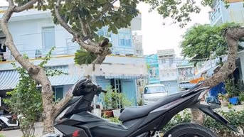 Honda Winner v1 2018 PBĐB đen nhám BSTP chính chủ