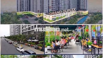 cho thuê căn Shophuose: một trệt + một lầu, vị trí đẹp