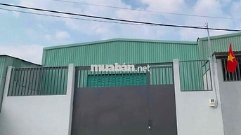 Cho Thuê Kho Xuân Thới Sơn Hóc Môn