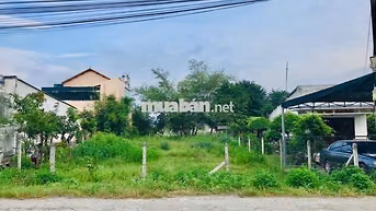 Bán 100m2 đất Đ. Đặng Thúc Vịnh, giá 1,5 tỷ gần Coop Mart Hóc Môn, SHR