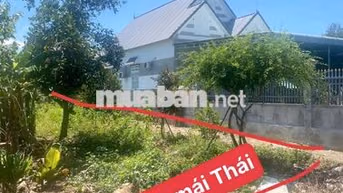 Cần tiền bán lô đất 528m2 có thổ cư ngay chợ Phú Giáo - HCM, giá 540tr