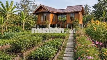 GIẢM SÂU 750TR CÒN 2TỶ550 SỞ HỮU ĐƯỢC NGAY LÔ 5.2 SÀO TẠI LA NGÀ