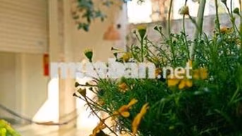 Phòng ngủ sát biển Nam Xuân Thiều