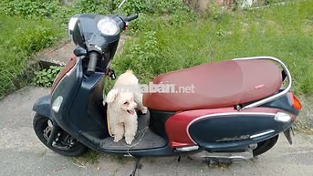 Sym Attila 50 2018 Đỏ, Xám 176154 km