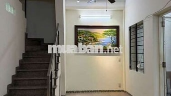 Nhà hẻm Đồng Nai 7x7m 4PN tiện ở gia đình