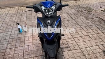 SYM 50 2023 Xanh đen