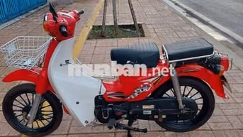 Xe máy Cúp 2019 Số Đỏ Trắng
