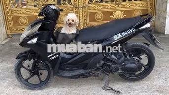 Yamaha Nouvo6 giấy tờ đầy đủ 