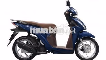Honda Vision Xe tay ga Nhiều màu
