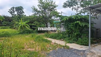 HẺM XE HƠI DTSD 150M² TRỆT TRỐNG SUỐT SÂN TRƯỚC SÂN SAU CỔNG RÀO ĐĐ