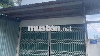 Nhà thuê có đất trồng rau 4_30 có nhà tôn Đường Lại Hùng Cường  vlb.
