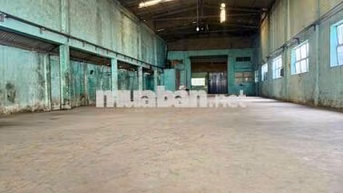 xưởng 780m² giá 50 triệu Bà điểm hóc môn