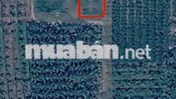 1000m2 full thổ, cách Quảng Trường Mỹ Tho 3km