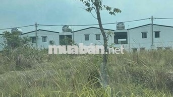 Lô đất 5x30 full thổ cư KCN Bàu Bàng, TP. HCM