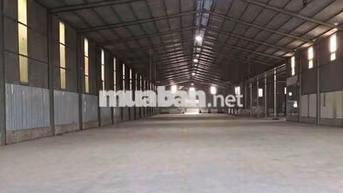 cho thuê xưởng 3800m, xe cont Hoc Mon