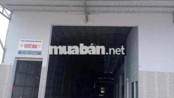 ĐẤT + KHO MỚI XÂY – 971M² – 300M² THỔ CƯ – NGANG 13M – BÌNH TÂN  Chính