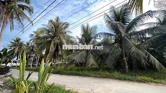 🌿 ĐẤT THỔ CƯ – GẦN CHỢ, GẦN TRƯỜNG 🌿