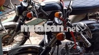 Honda 67 Đen, Đỏ