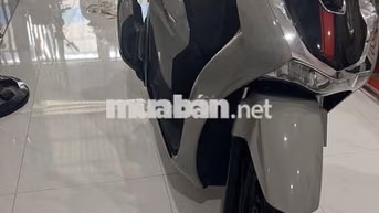 Honda SH Xám
