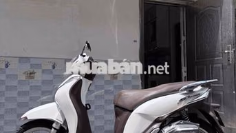 Honda SH Mode 2014 Trắng